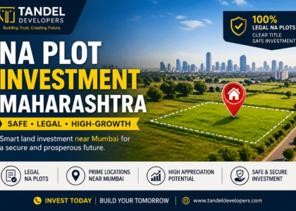 plot investment